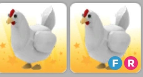 Steve? | Online tweet media