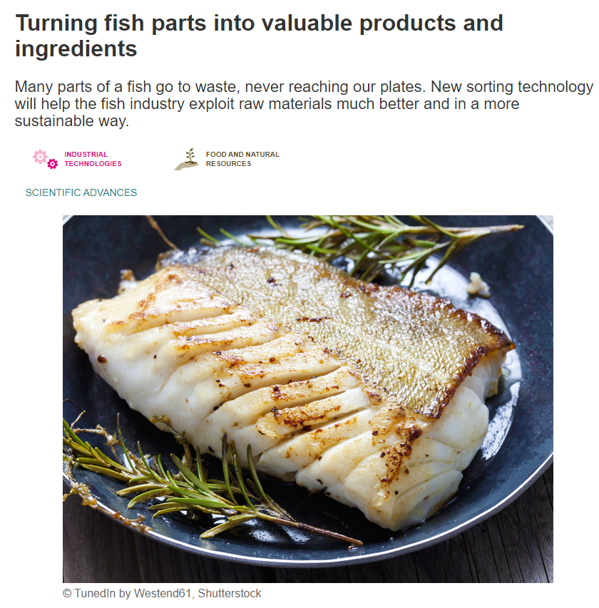 WaSeaBi's tweet photo. Want to know how @WaSeaBi  is turning fish parts into valuable products and ingredients?

➡Find out by reading this newly published article on @CORDIS_EU 👉👉 https://t.co/d0SvGlI47c https://t.co/8n6kmrbRHX