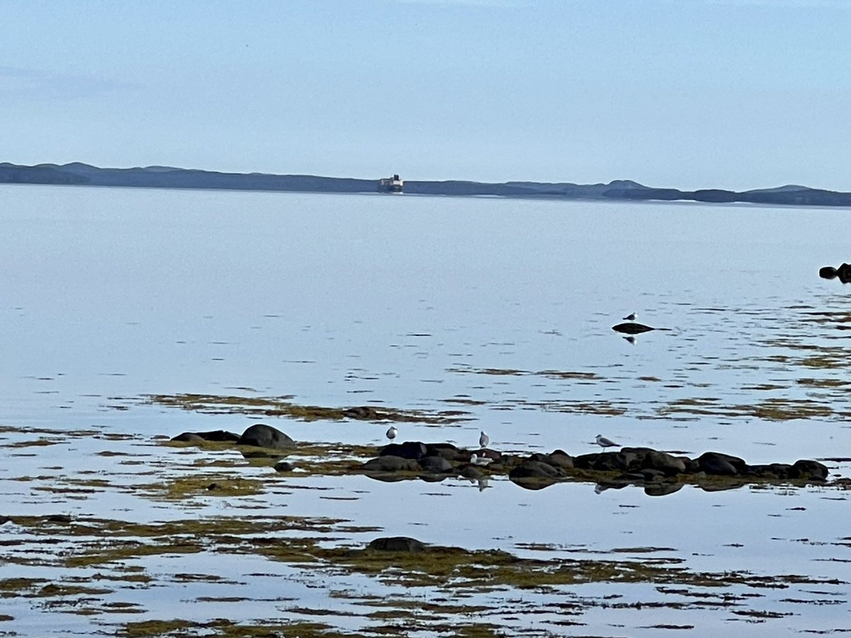 rodrideout1's tweet photo. Good morning from Loon Bay.  Bay View RV Park!!! https://t.co/npmf10ilMl