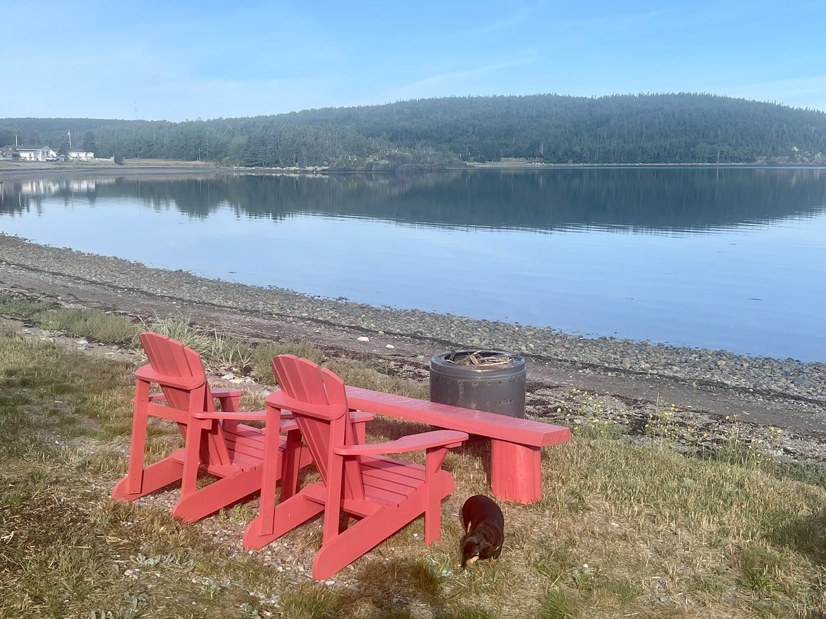 rodrideout1's tweet photo. Good morning from Loon Bay.  Bay View RV Park!!! https://t.co/npmf10ilMl