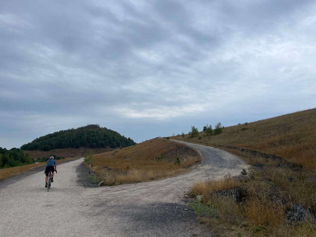 allegaert kristof tweet media