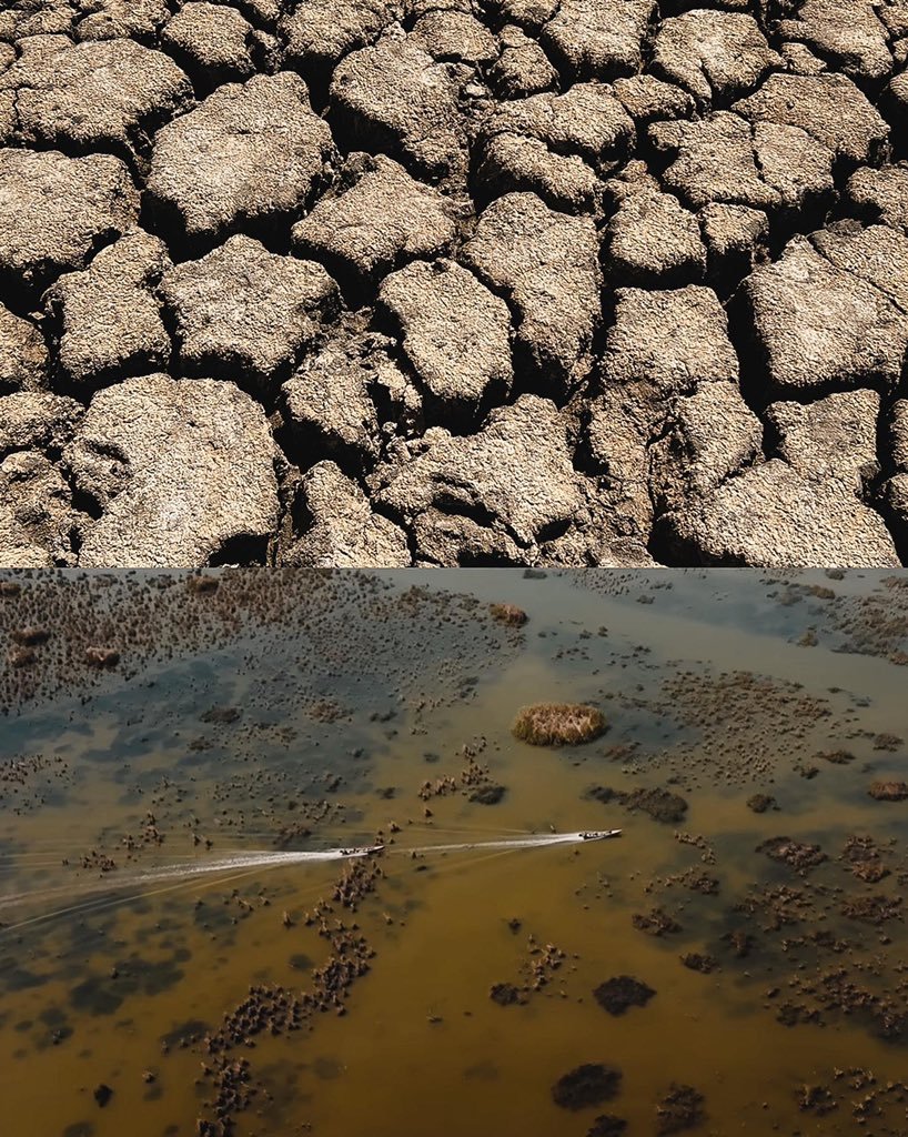 5#أنقذوا_الأهوار 
#save_iraqi_marshes
<a href="/UNICEFinArabic/">منظمة اليونيسف</a> 
<a href="/UNESCO/">UNESCO 🏛️ #Education #Sciences #Culture 🇺🇳</a> 
<a href="/IraqiGovt/">Government of Iraq - الحكومة العراقية</a> 
 #انقذوا_الاهوار_تراث_عالمي