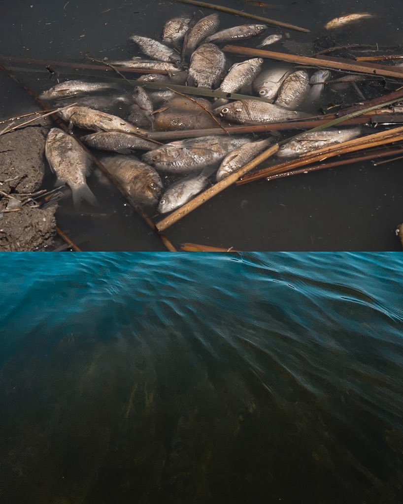 6
#أنقذوا_الأهوار 
#save_iraqi_marshes
<a href="/UNICEFinArabic/">منظمة اليونيسف</a> 
<a href="/UNESCO/">UNESCO 🏛️ #Education #Sciences #Culture 🇺🇳</a> 
<a href="/IraqiGovt/">Government of Iraq - الحكومة العراقية</a> 
 #انقذوا_الاهوار_تراث_عالمي