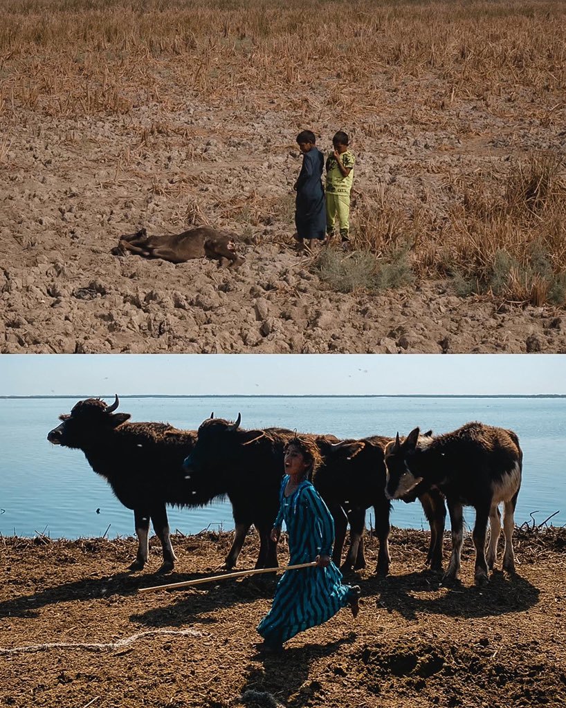 7
#أنقذوا_الأهوار 
#save_iraqi_marshes
<a href="/UNICEFinArabic/">منظمة اليونيسف</a> 
<a href="/UNESCO/">UNESCO 🏛️ #Education #Sciences #Culture 🇺🇳</a> 
<a href="/IraqiGovt/">Government of Iraq - الحكومة العراقية</a> 
 #انقذوا_الاهوار_تراث_عالمي