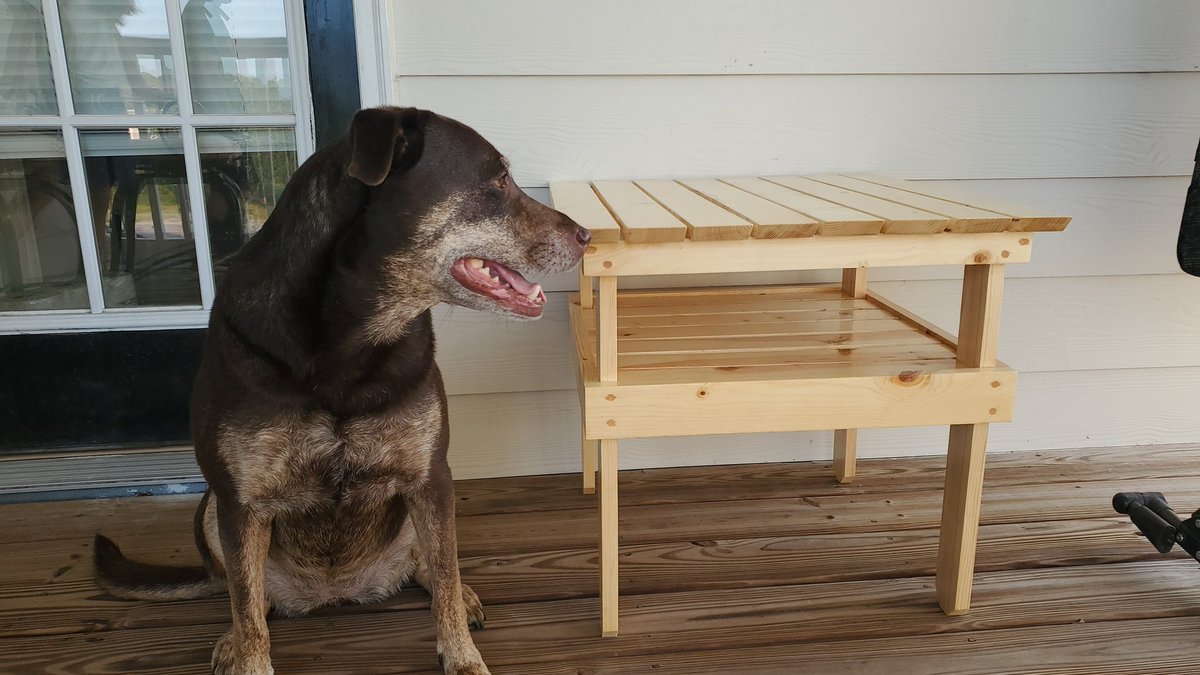 mumbledorf's tweet photo. Another project completed.
Many learning pains with adding the protection. 
#woodworking https://t.co/zfhpiVSpw0