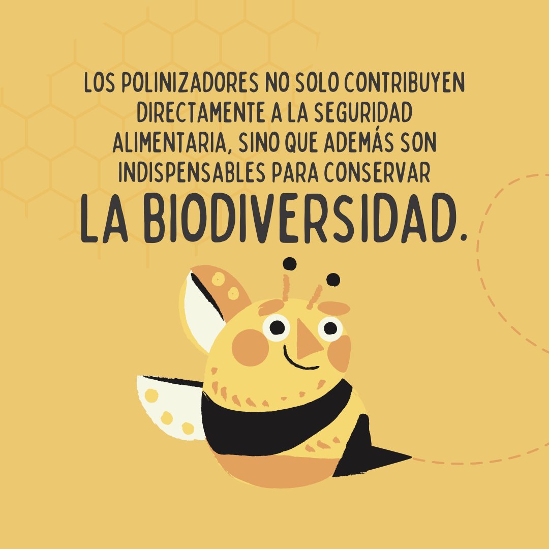 #chilemiel te enseña ¿Cuál es la importancia de las abejas e insectos polinizadores? #abejas #protejamoslasAbejas #savethebees <a href="/24HorasTVN/">24 Horas</a> <a href="/MundoConAbejas/">Mundo Con Abejas</a> <a href="/PameValdesI/">Pamela Valdés🇨🇱</a> <a href="/INFOR_Minagri/">Instituto Forestal</a> <a href="/tvalenzuelavt/">Esteban Valenzuela Van Treek</a> @gabrielboric <a href="/NatGeo/">National Geographic</a> <a href="/campoyabejas/">Campo y Abejas</a> <a href="/LaMielEnTuRadio/">La Miel en tu radio</a> <a href="/worldbeeday/">World Bee Day</a> <a href="/SurMiel/">MielPanalesdelSur</a>