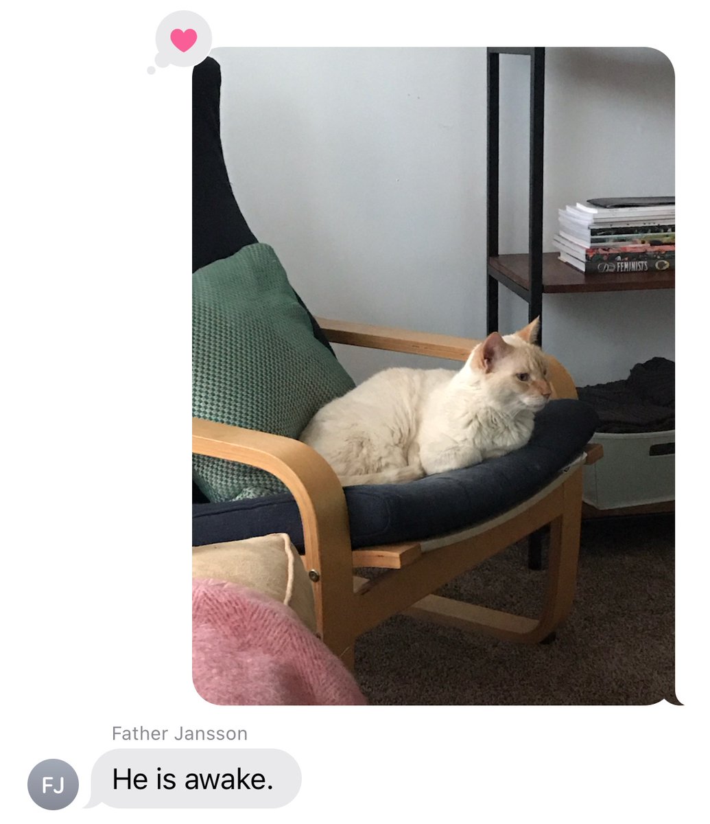 tinycinemas's tweet image. Happy birthday Robert De Niro! (approx. 11 years old) 🥳