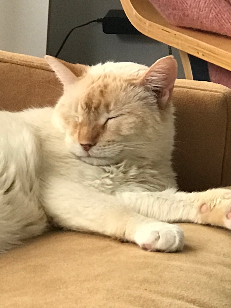 tinycinemas's tweet image. Happy birthday Robert De Niro! (approx. 11 years old) 🥳