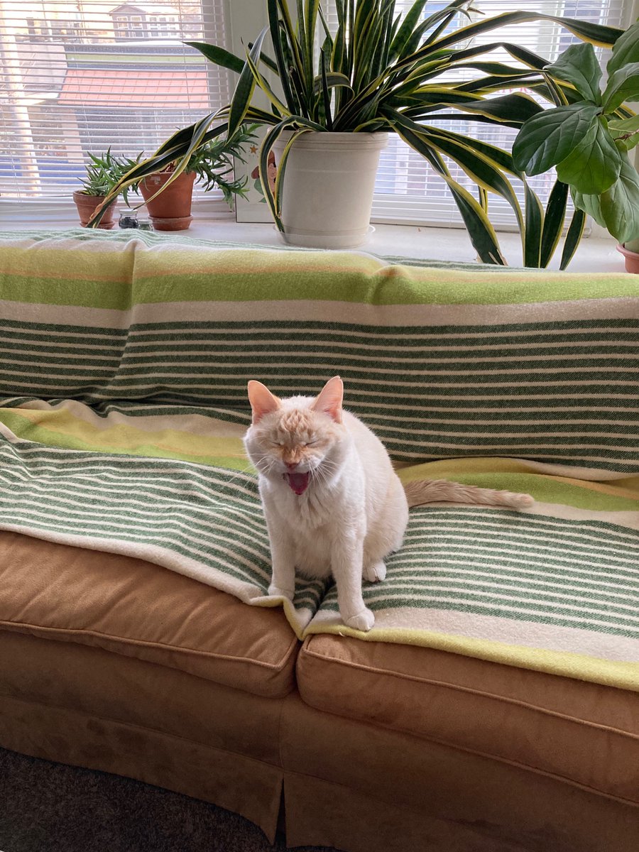 tinycinemas's tweet image. Happy birthday Robert De Niro! (approx. 11 years old) 🥳