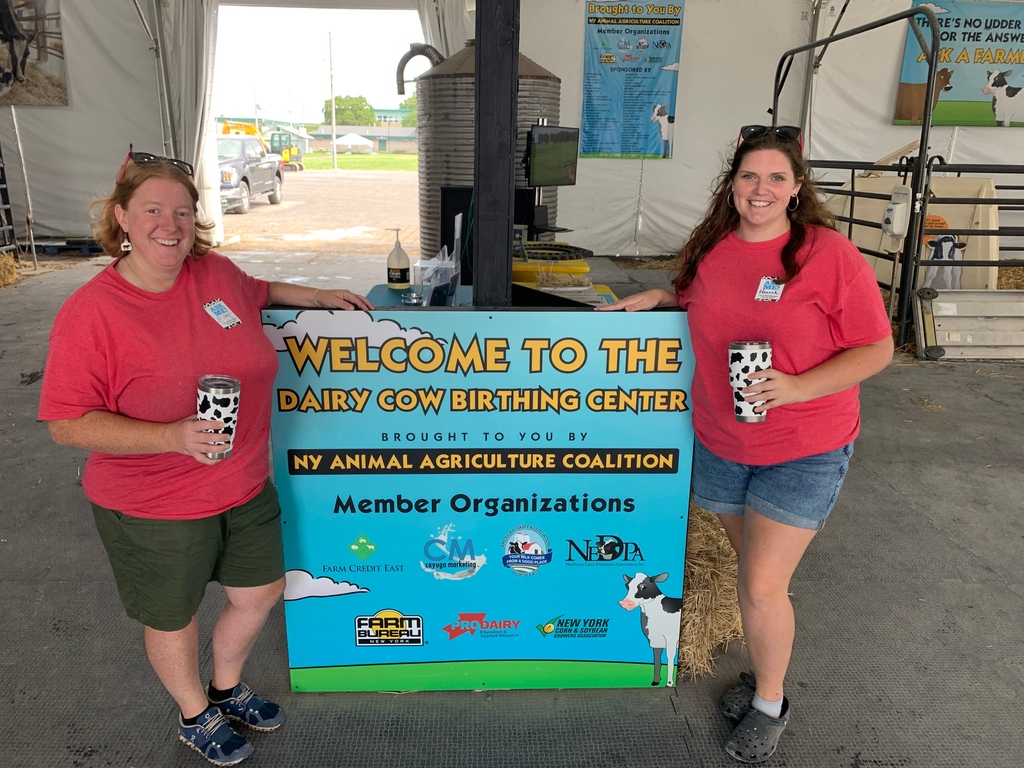 nyagvocate's tweet photo. We are at the @NYSFair today! Opening Day is just ONE week away! Have you ever visited the @NYAnimalAg Dairy Cow Birthing Center? We hope you visit us for your chance to talk with a farmer and see the miracle of life in our #uddermiracles!
#AgAdventuresWithEileen
#AgRocks https://t.co/bSPXVZ2Yo9