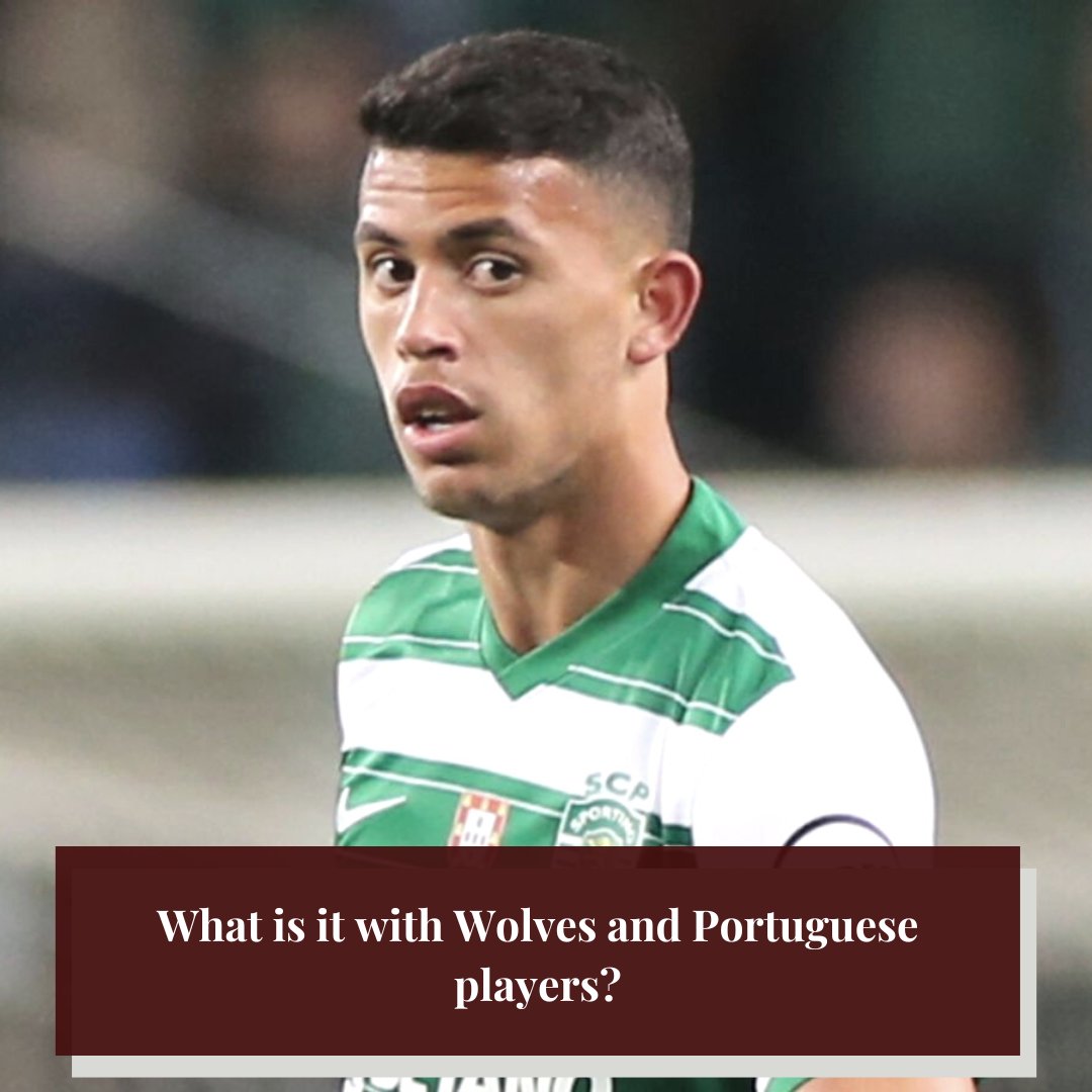 OneForTheGoals's tweet photo. After agreeing a club-record fee to sign Matheus Nunes, Wolves will now have 11 Portuguese nationals in their ranks.

What is it about Portuguese players that no one else knows? 🤔 https://t.co/A4ZIogE5Zy