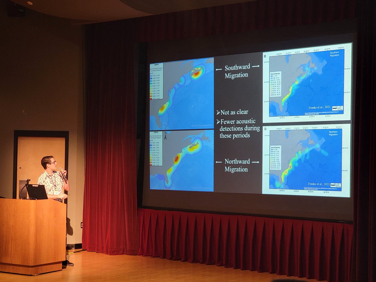 JUMSRI2's tweet photo. At the JMIH-American Elasmobranch Society meeting in Spokane, recent JU graduate, Jackson Hooten, presented his research from his Master's thesis using OCEARCH acoustic data to better understand the movements and drivers of movement of White sharks in the NW Atlantic! #jmih2022 https://t.co/XFyJatKSRo
