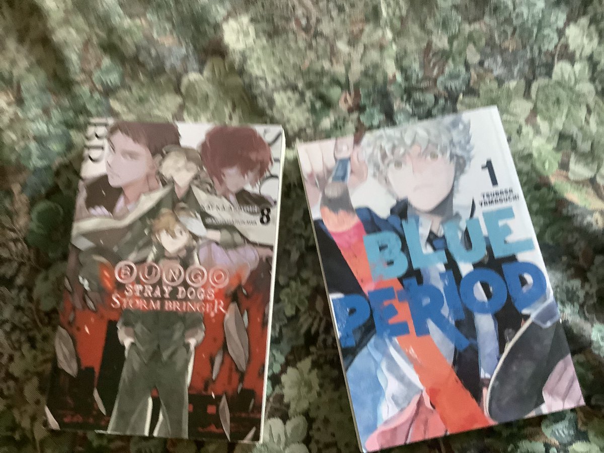 Rose_Muffins's tweet photo. Yaaaaa!!!!!!! My Strombringer light novel and Blue Period manga #bsd #chuuya #strombringer #BluePeriod #Yatora https://t.co/AGGYMeZ3J7