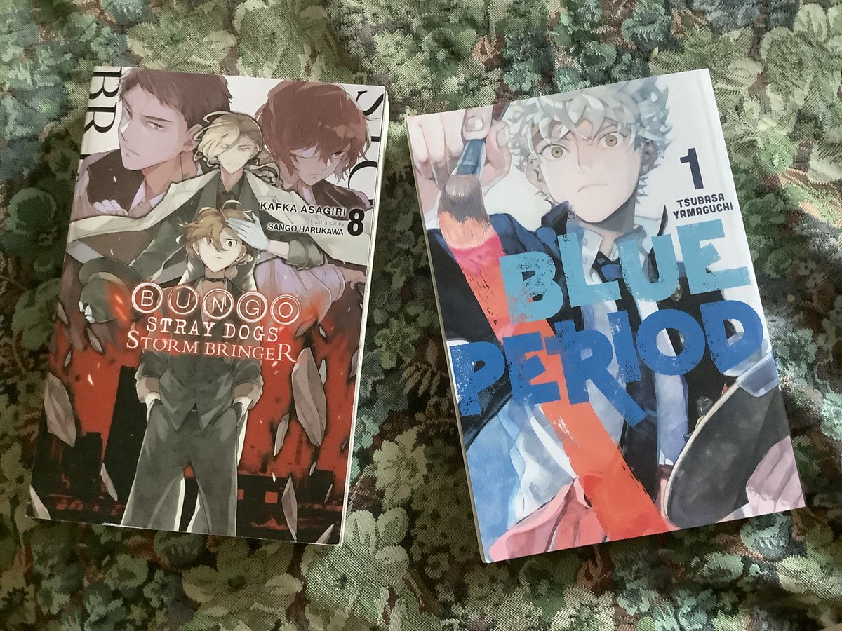 Rose_Muffins's tweet photo. Yaaaaa!!!!!!! My Strombringer light novel and Blue Period manga #bsd #chuuya #strombringer #BluePeriod #Yatora https://t.co/AGGYMeZ3J7