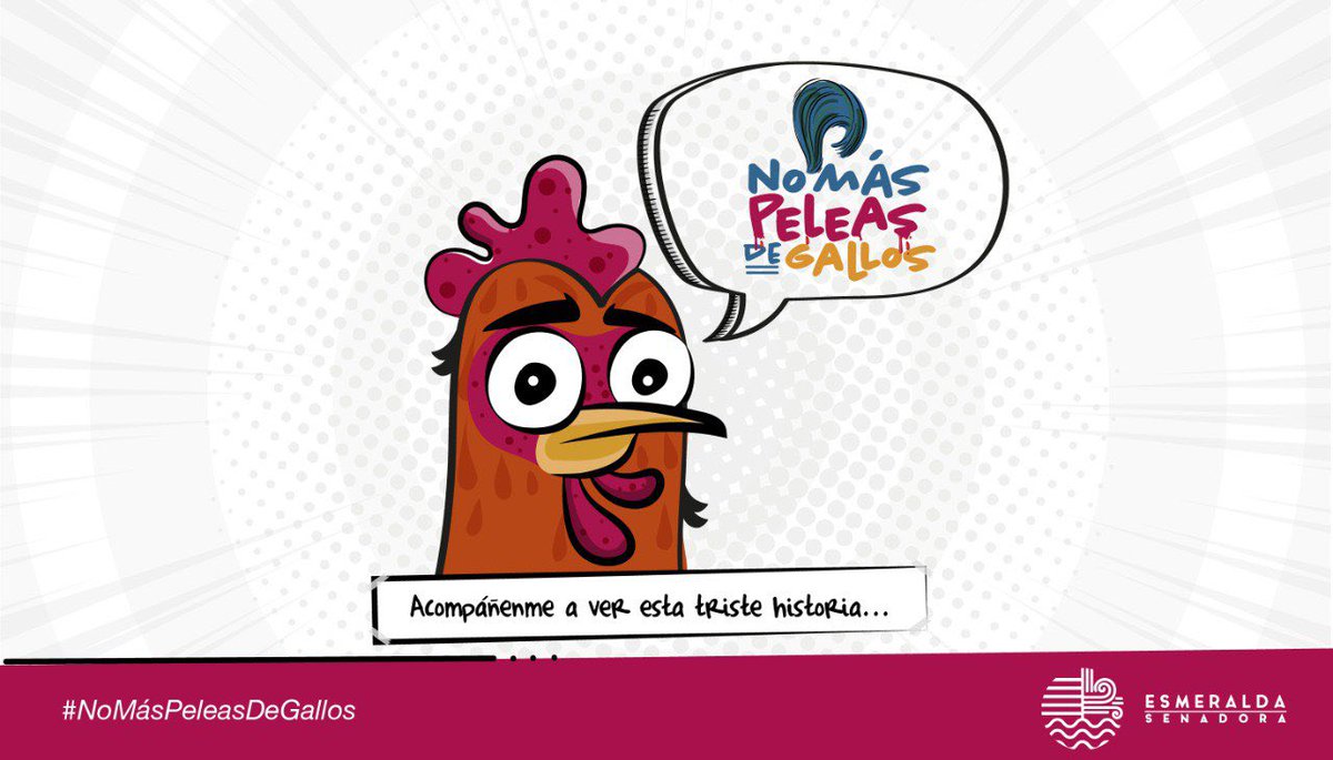 Radicaré proyecto de ley para PROHIBIR las RIÑAS DE GALLOS en Colombia.

En este🧵🪡 te muestro cómo los gallos son drogados, mutilados y torturados hasta que mueren, todo por obtener dinero a cambio del sufrimiento de los animales.

Acompáñame con un RT y el #NoMásPeleasDeGallos