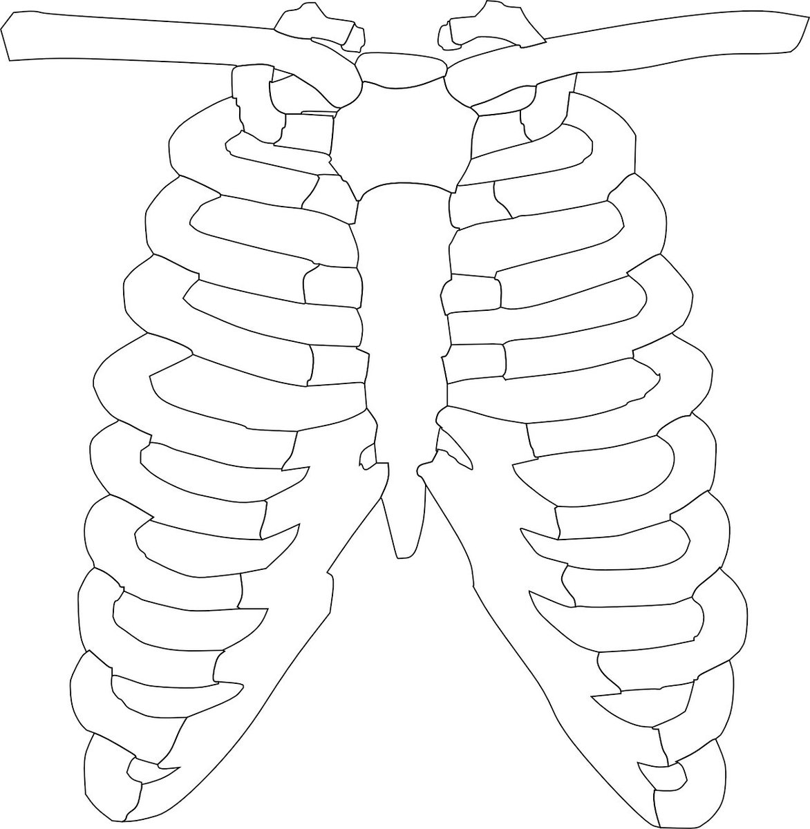 SFMU_MS's tweet photo. https://t.co/3NeixlKvAA
Sternal fractures in blunt trauma patients
European Journal of Trauma and Emergency Surgery https://t.co/dQeVdLPAT7