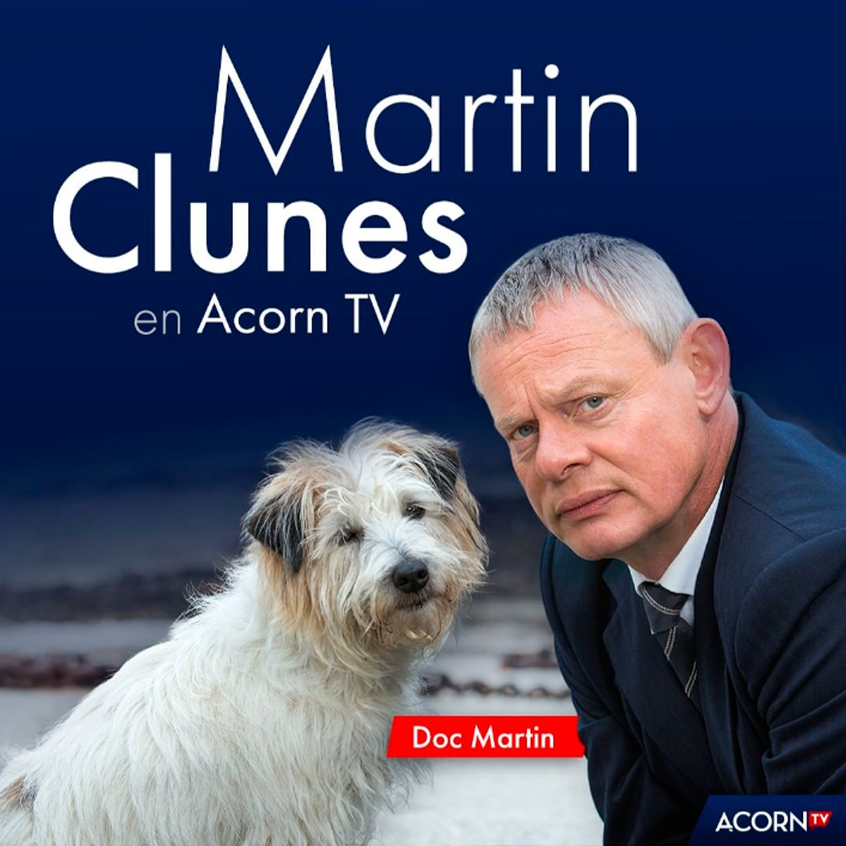 AcornTVES's tweet photo. ¿Qué tienen en común nuestro serio #DocMartin y el gruñón de #ReginaldPerrin? ¡Al magnífico Martin Clunes! ❤️ https://t.co/80GlSoW7S1