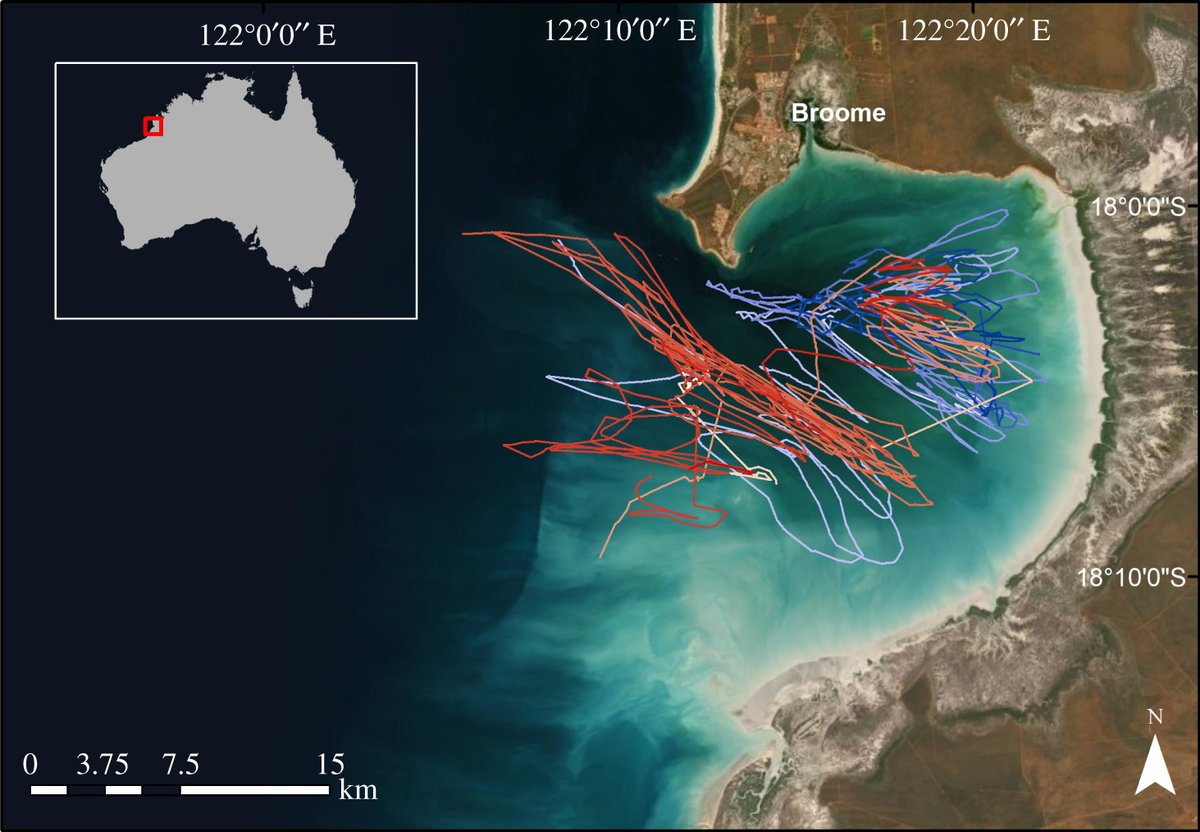 High-resolution multi-sensor #biologging data used to describe the environmental influences on flatback turtle diving behaviour, during its foraging life-history stage: ow.ly/NbB850KkOpR <a href="/HounslowJenna/">Jenna Hounslow</a> <a href="/AdrianGleiss/">Adrian Gleiss</a> <a href="/FishyBehaviour/">Evan E. Byrnes</a> <a href="/renaelambourne/">Renae Lambourne</a> #RSOS #ecology
