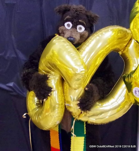 THE_BJBUTTONS's tweet photo. #Waldolf holding on to the gold number 50 #balloons at the Good Bears of the World #GBotW #GBW #goodbears 50th Anv. dinner in Toledo in 2019 #fursuit #fursuiter #fursuiting #bear #costume https://t.co/fENbG5QDNb