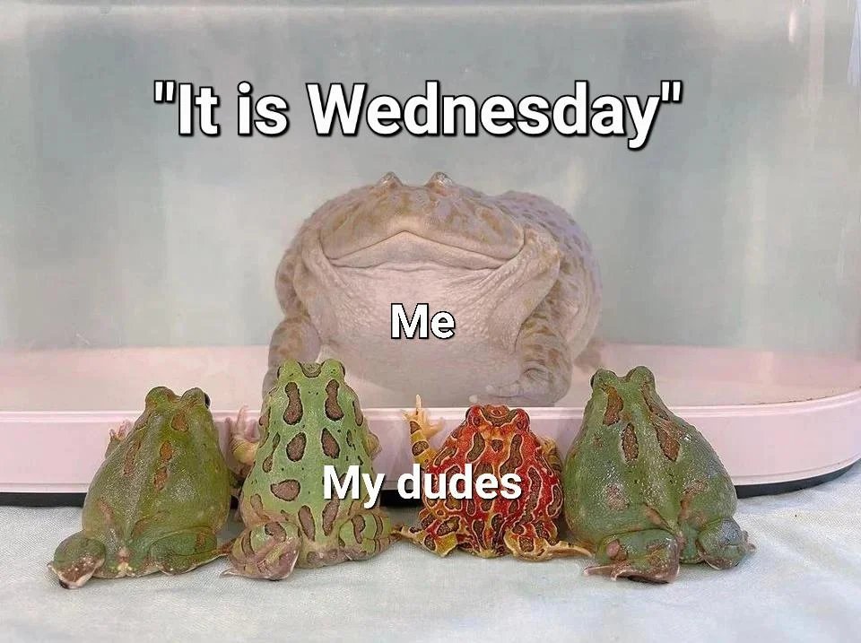 pam_and_bacon's tweet image. 