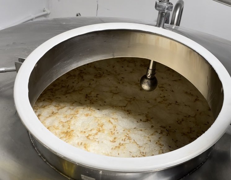 Kicking off a new batch of Dragonfly. Brew inbound!