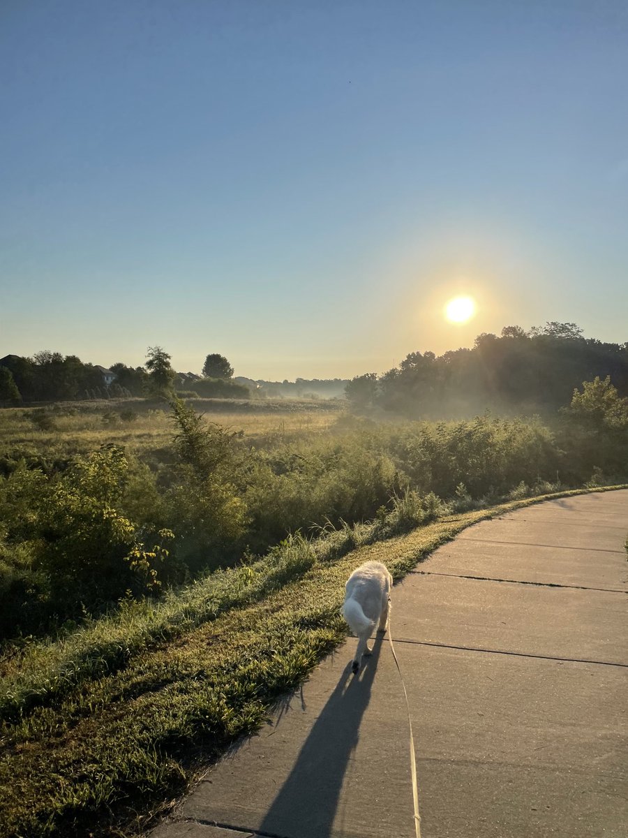 cassiecounsel's tweet photo. Beautiful morning #cantwaitforfall https://t.co/BCOOfNA4cS