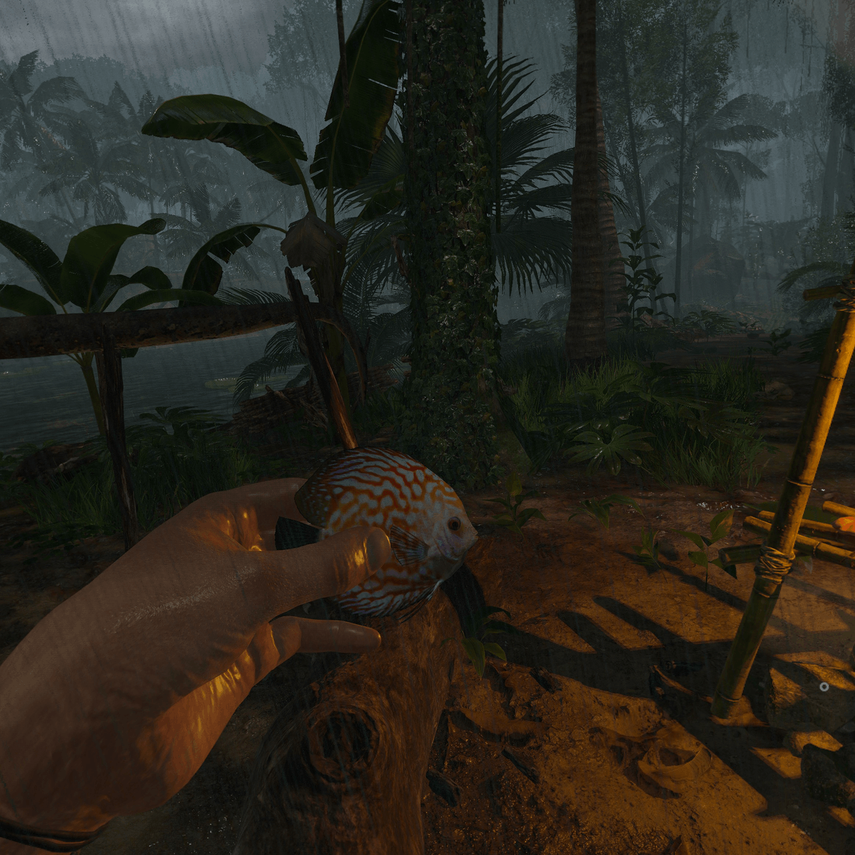 GreenHellVR's tweet photo. We think we've found the perfect companion ❤️ Have you got any name ideas for our newfound friend?
Thanks so much to AkimboBanana on Discord for this #ScreenshotWednesday, we love the pic and we love this little guy too!
#greenhellvr #ghvr #survival #crafting #gamedev #oculus https://t.co/gMDR7lXhaJ