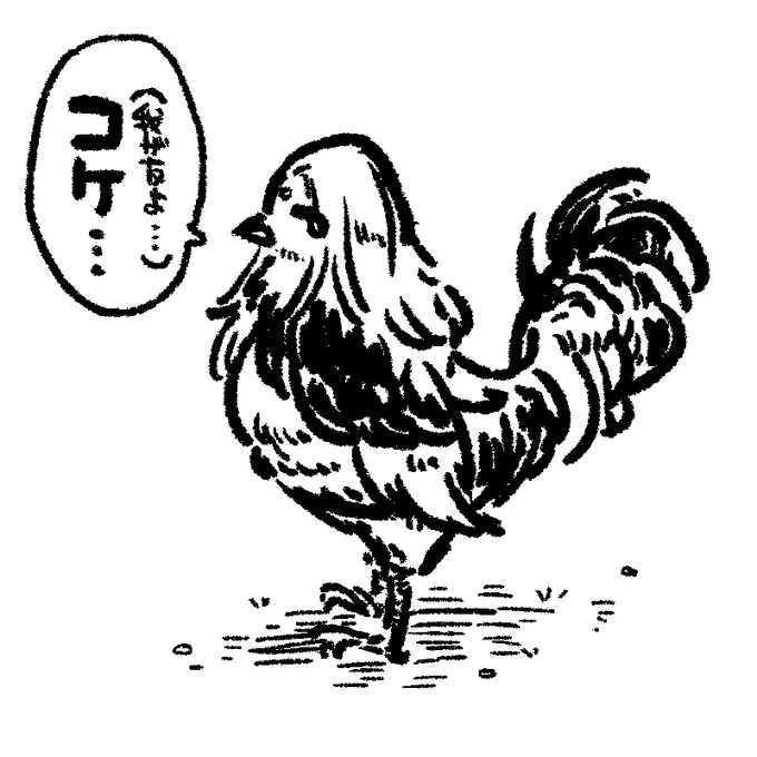 ぜのぴ鶏 