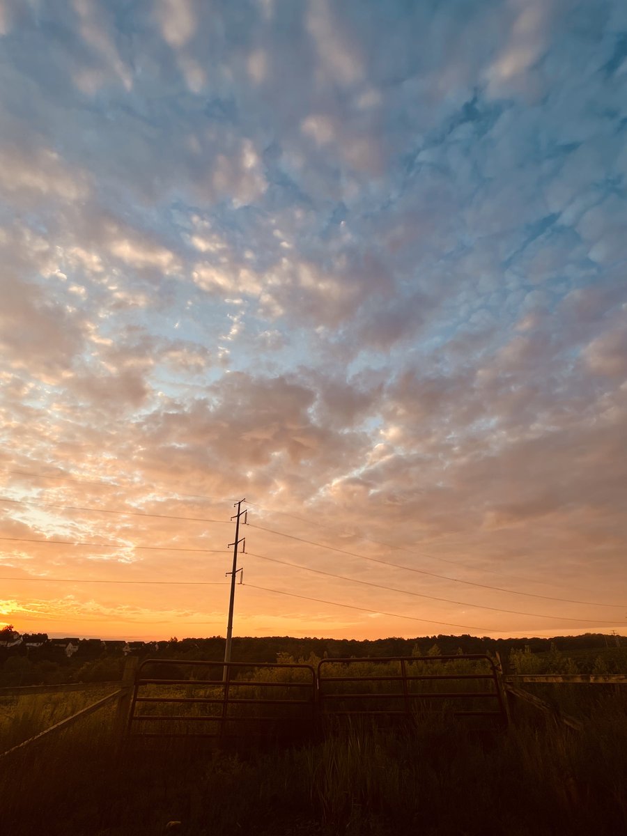 evanmichio's tweet photo. GM. We grow Amazon power lines  #itsElectric #VALove @PWConserve https://t.co/P3jYttmuln