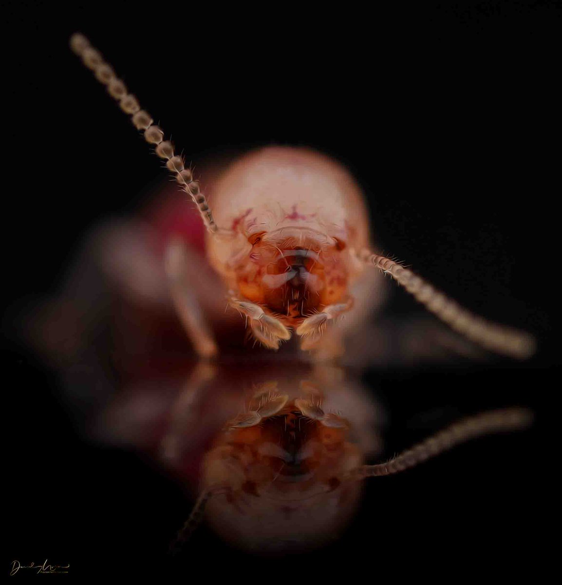 David Mora del Pozo tweet media