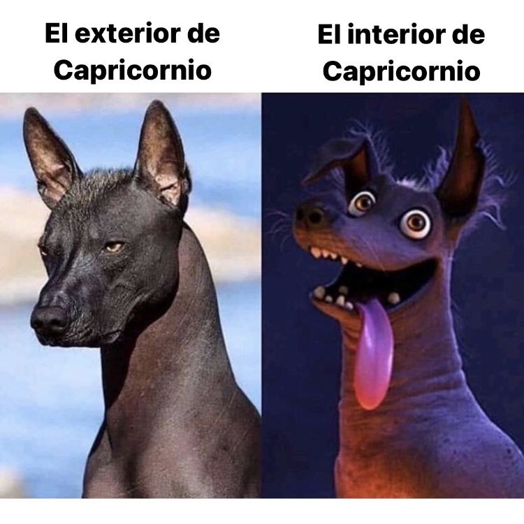 ▲CAPRICORNIO▲ tweet media