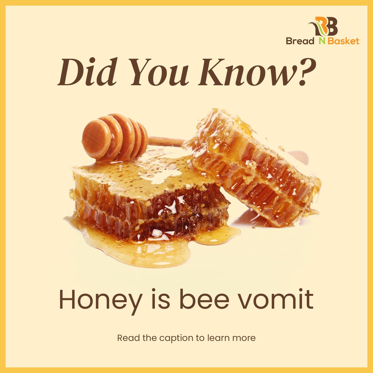 BreadNBasket's tweet photo. When bees collect nectar, they drink it and keep it in their “stomach.” Once they’re back at the hive, they regurgitate the nectar into the hive.

#honey #honeybee #beehive #honeyfacts #nectar #foodfacts #breadnbasketofficial https://t.co/UkMQireXaV