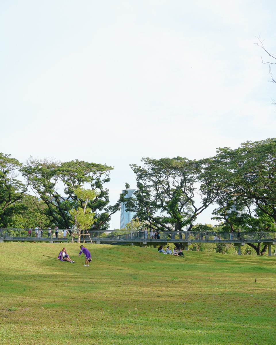Basiclook1's tweet photo. สวนป่าเบญจกิติ Benjakitti Forest Park
พื้นที่สีเขียวบรรยากาศดีๆในเมือง https://t.co/4ryDHzl0Sx