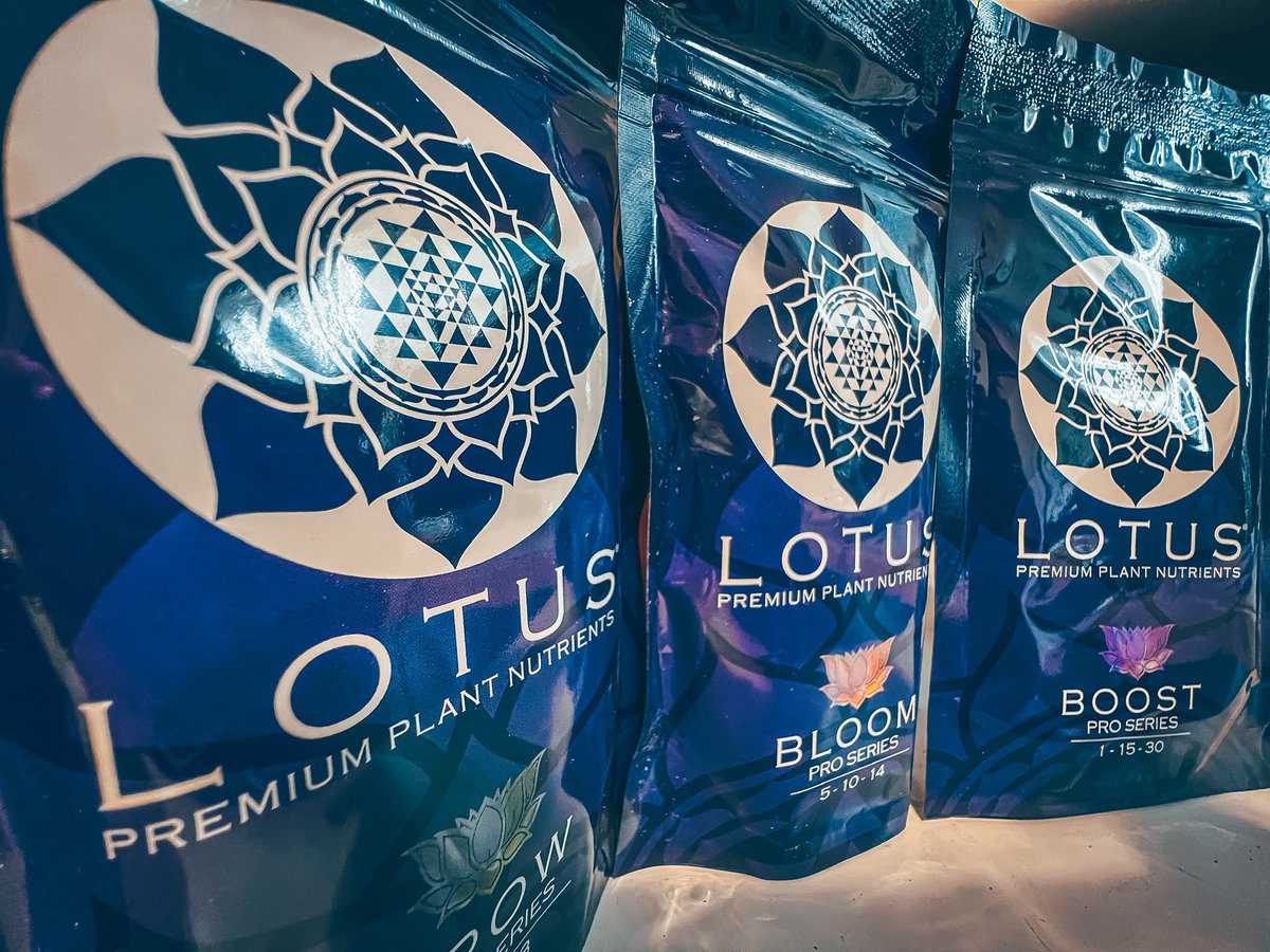 UprootCannabis's tweet photo. Thank you guys for 2,500 followers 💚

I’m doing a @lotusnutrients sample + 20$ giveaway!

Must follow myself and @lotusnutrients 

Rt + like this post

Winner picked 4:20, 8/19/22

#Weedmob #cannabisculture #WeedLovers #Mmemberville #cannabisusa #Weed  #growyourown #420community https://t.co/2c16XGHgWU