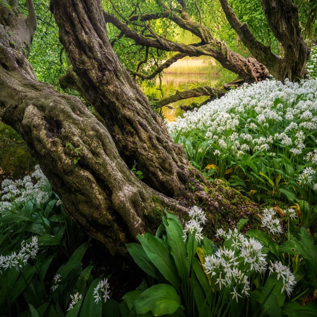 acidogp9's tweet image. 