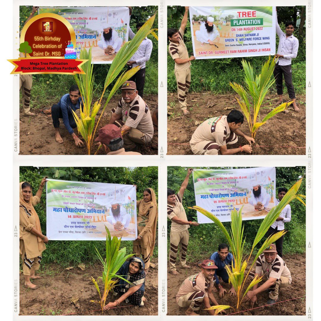 DSSNewsUpdates's tweet photo. To maintain the greenery of mother earth, plant more &amp; more plants.
#MegaTreePlantation drive is organized every year by #DeraSachaSauda to celebrate the Incarnation Day of Saint Dr. @GurmeetRamRahim Singh Ji Insan and give a green cover to our planet.
Check out the highlights! https://t.co/T2l7G120Pp