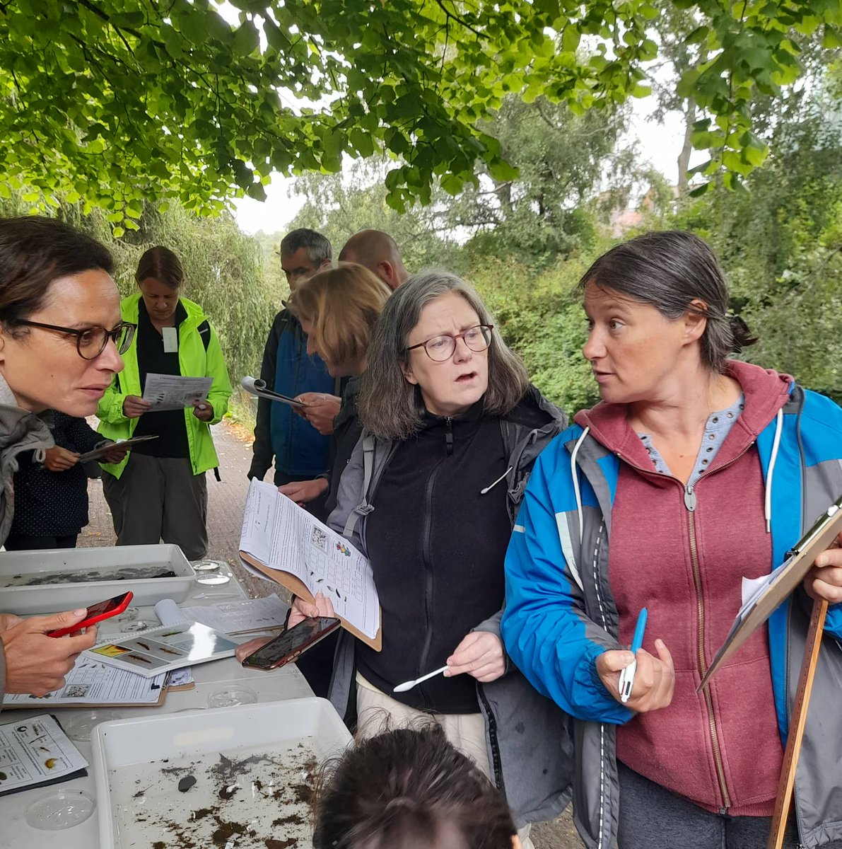 GLOBEIreland's tweet photo. So many great finds today from our KICK samples at the River Dodder. Lots of great ideas to bring water quality and ecosystem health into the primary and secondary classroom.

 Thanks to @WatersProgramme for assistance! https://t.co/kNavsRw2O0