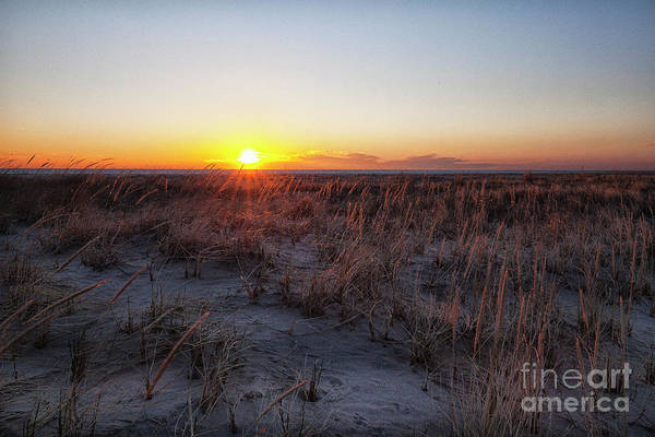 TLawren37609829's tweet photo. What's better than the beach at sunrise? #sunrise #ArtistOfTheSummer #art #photo #BuyIntoArt #ShopEarly #beachvibes #coastalart #beachhomeart #sunrisephotography 
https://t.co/ZNWC12JF5o https://t.co/YRS90nhDUr