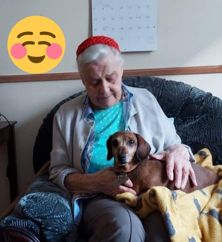 myra_benson's tweet photo. #Granddaughter #special #dogssupport ❤ yesterday we laid my steppop to rest great that family.n friends attended mum can hopefully find some comfort now 🙏 @MLProduce @Maisiesausage @poppyscupcakes @mrsbiffo01 @rattycastle @clemserrell @maolfold @friedalive @thebathgardener https://t.co/AmQWiDGBiP