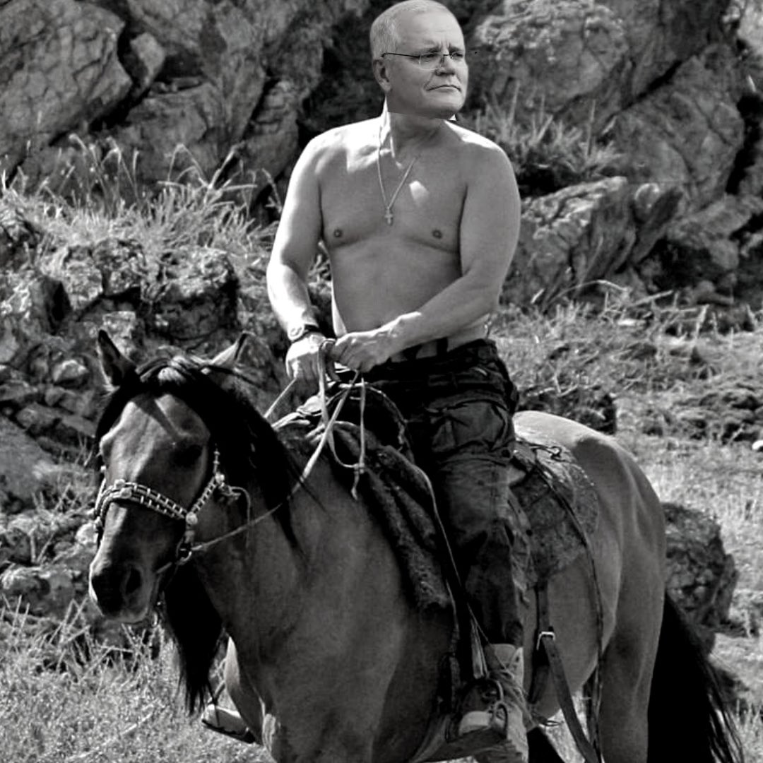 PinkCricketBall tweet media