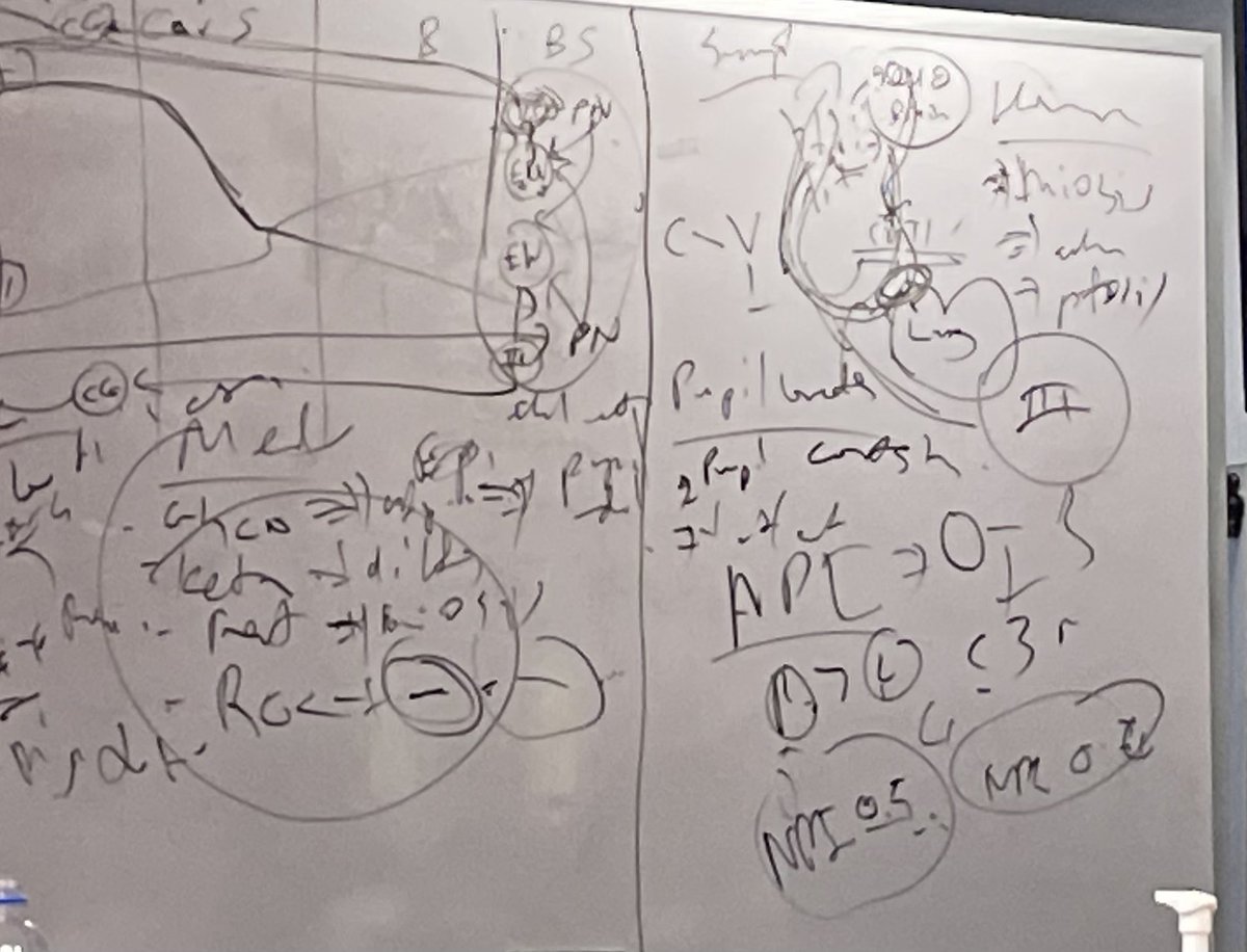 CHOP PICU Fellows tweet media