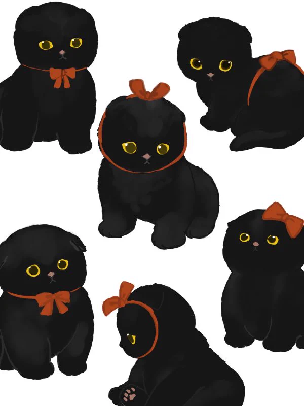 ぢゅの🐈 on X: 