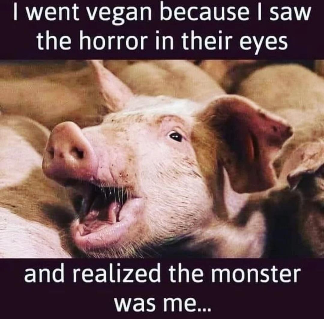 Meatlessworld1's tweet photo. @BobbySamael https://t.co/hpLTEOMI2Z