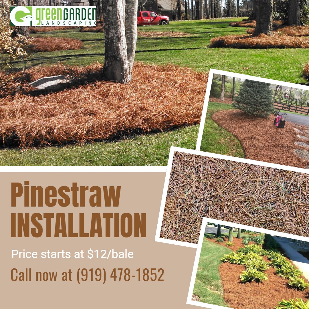 GGL_LC's tweet photo. Pine straws and grub in the garden is one of the best ways to help plants and trees grow naturally. 

#pinestraw #mulching #lawn🌱 #lawncare #green #garden #landscaping #flowerbeds #sanfordnc #cameron #carthagenc #vassnc #springlakenc #pinehurstnc #lillingtonnc #aberdeennc https://t.co/cc8TgbIpsj