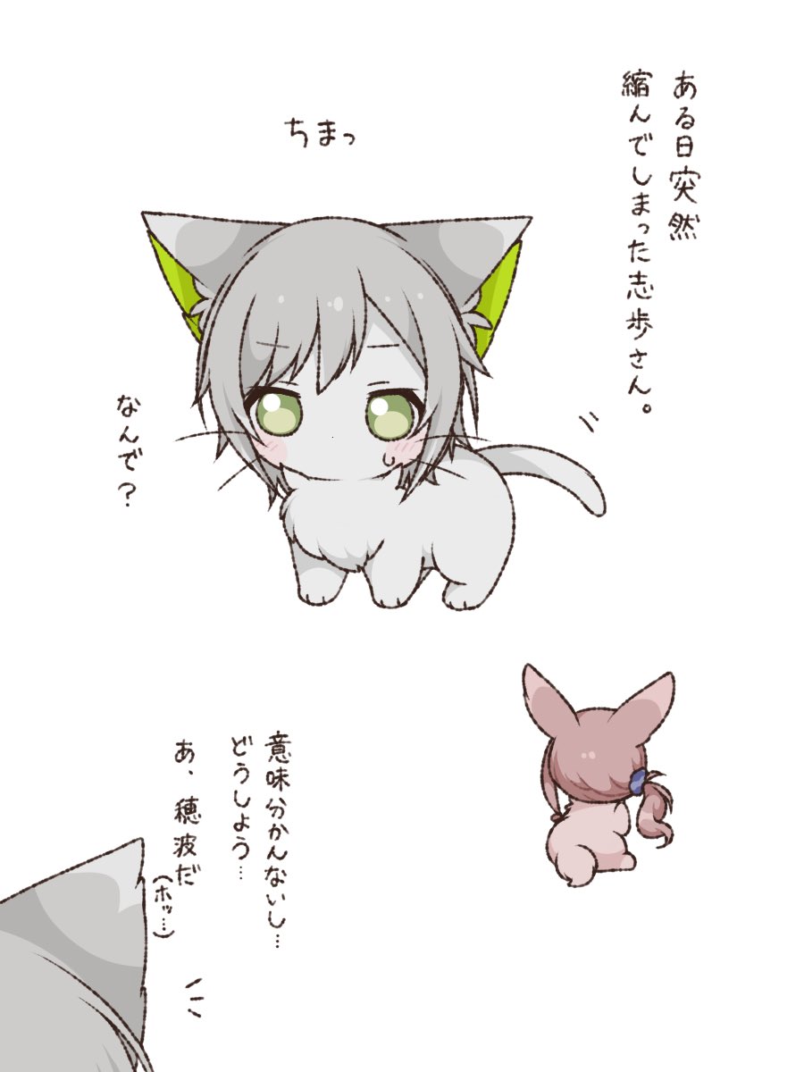 プロセカ擬獣化!
しほなみ🐱🐰 