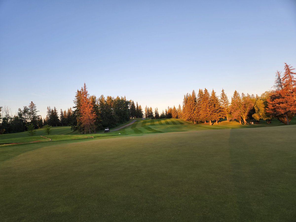 Chris Prodahl tweet media