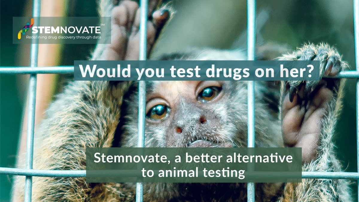 StemnovateL's tweet photo. We are always looking for new #laboratorymodels to accelerate #therapeuticresearch in complex diseases. Hearing loss is one of them. Currently, our team is developing inner ear #cellularmodels for downstream therapeutic studies. https://t.co/sWYWGJZHo6  #drugdiscovery https://t.co/dyQ39PzKcZ