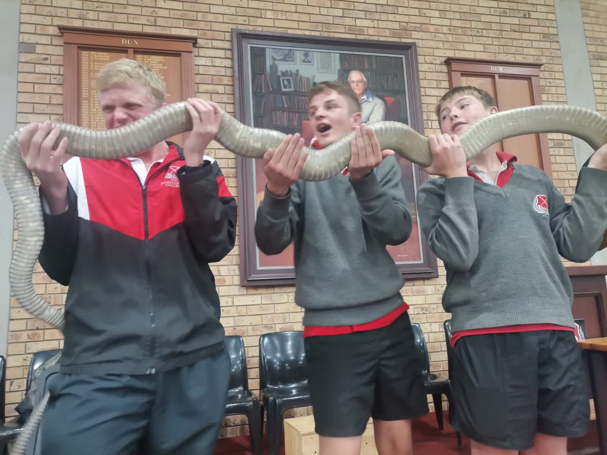 MaritzCollege's tweet photo. #BoardingFun
Life on our #RedBlackWhite campus is never dull.
(Most) of our boarders enjoyed the entertaining interactive presentation by Dingo Dinkelman & his snakes. Some were happy to get up close & personal, & others chose to leave the stage rather quickly... https://t.co/TH3i6Xpz8g