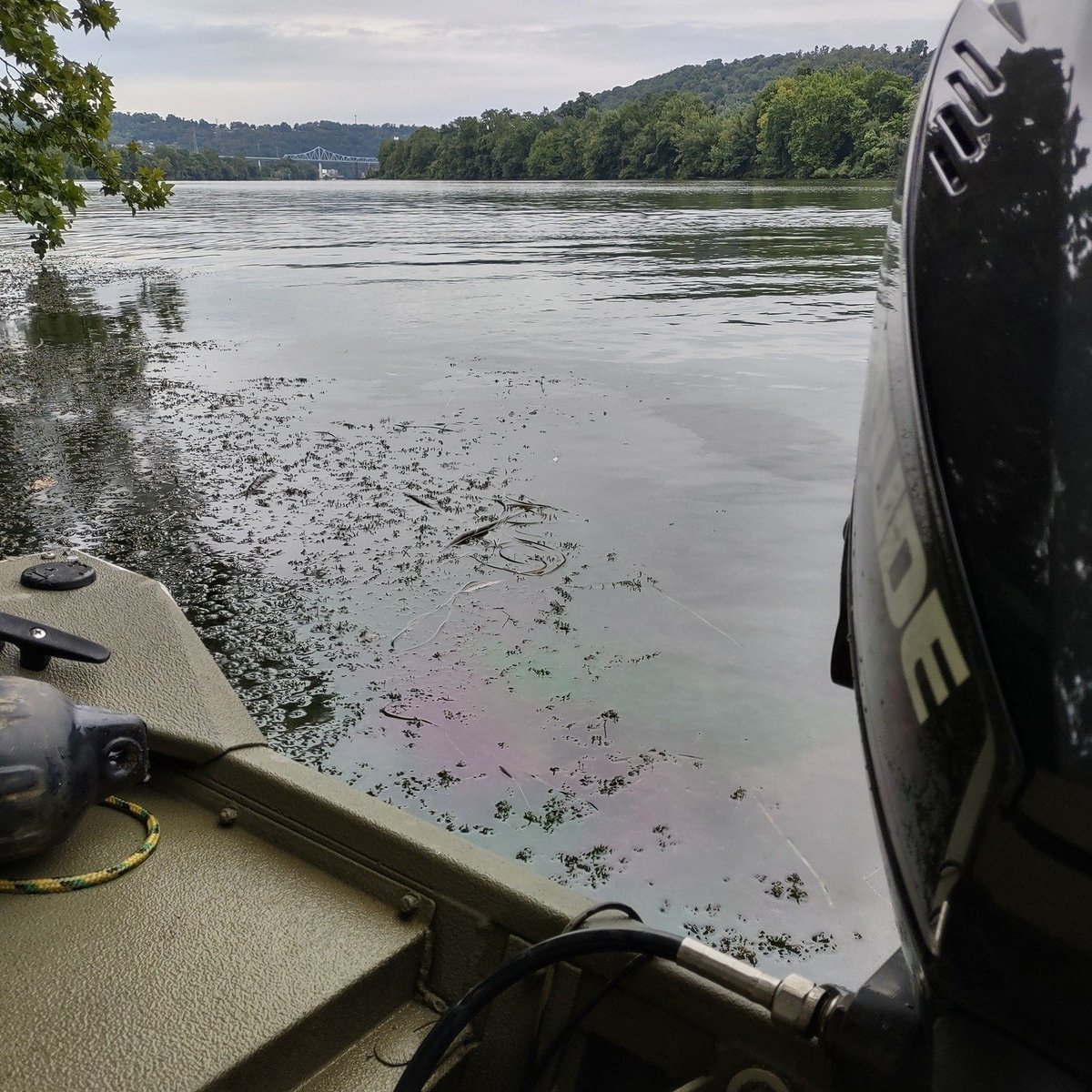 3RWaterkeeper's tweet photo. 🧵This #WaterkeeperWednesday we want to highlight how community members can make positive impacts to our waterways. Pictured here is a large oil sheen entering the Monongahela River from an outfall with the flow being over a mile long - 1/ https://t.co/ySdUvQ5Jmg