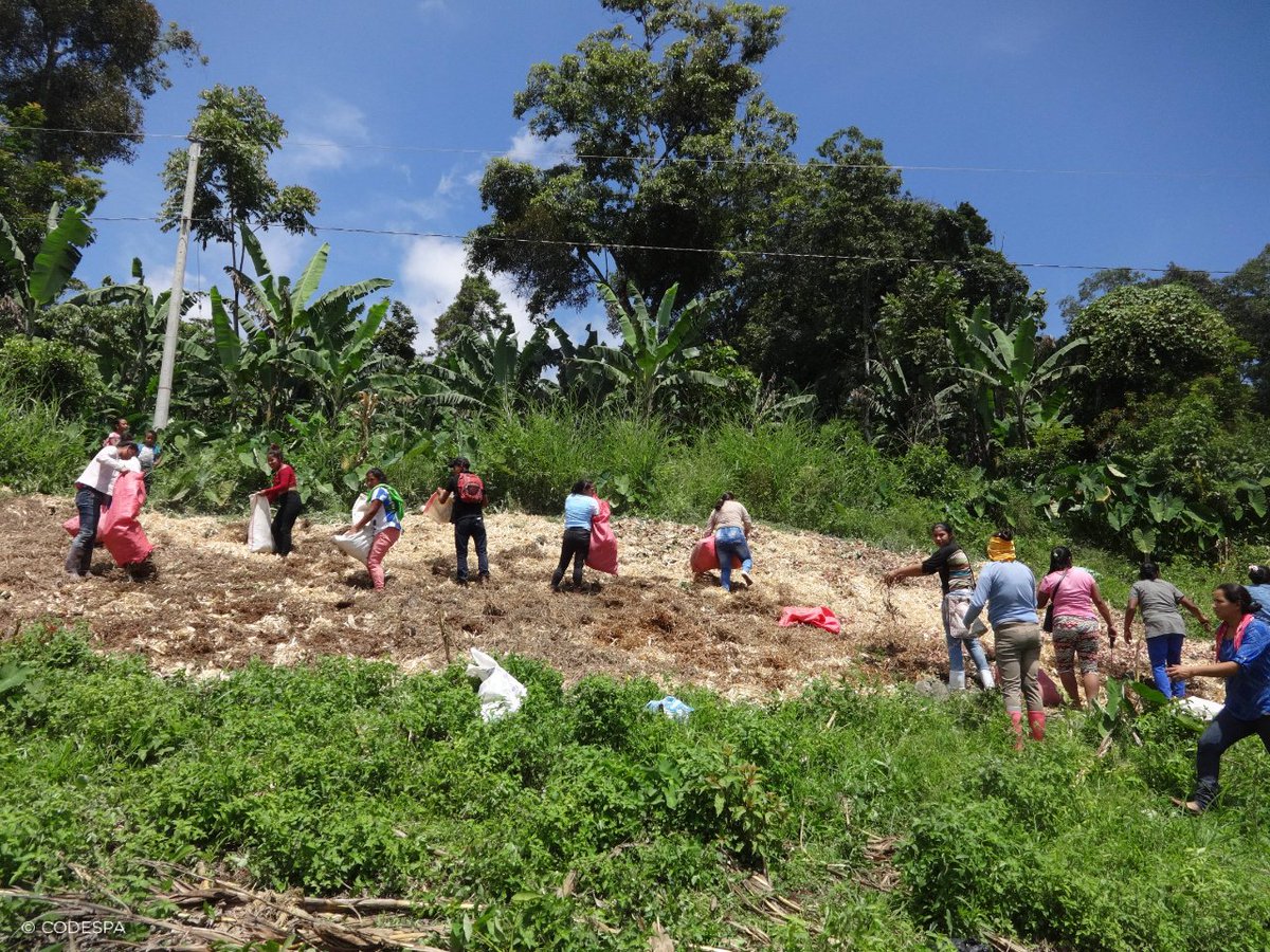 En Nicaragua hemos apoyado a 500 mujeres a participar activamente en su comunidad. Un proyecto financiado por la @CooperacionAND y Fundación Roviralta que hará que tomen decisiones, gestionen sus ingresos y transformen su futuro👍 + info: codespa.org/proyectos/empo…